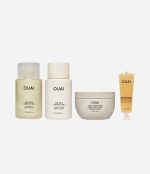 Fine Hair Travel Kit